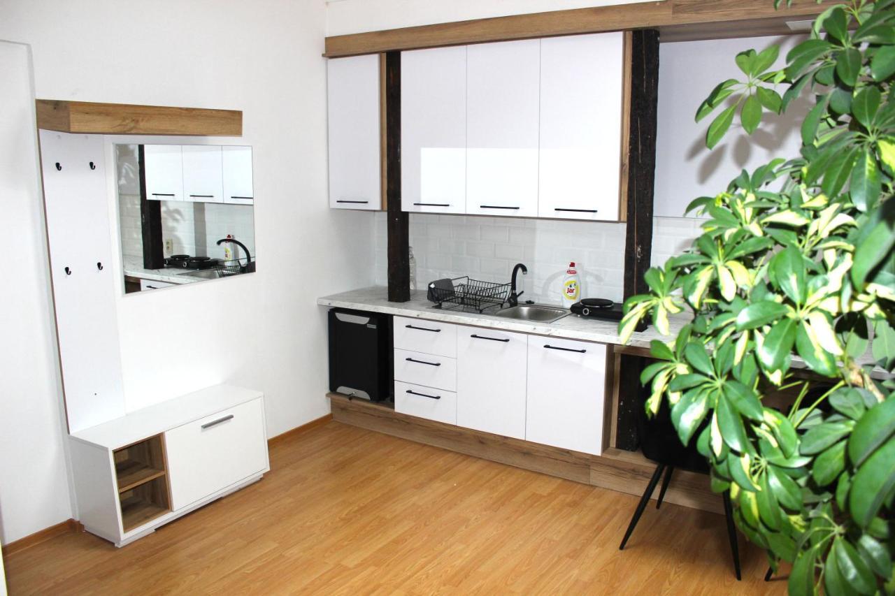 Krasny Priestranny Slnecny Apartman V Centre Mesta Trenčín المظهر الخارجي الصورة