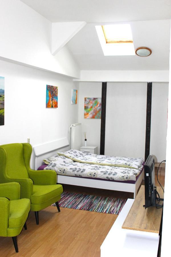 Krasny Priestranny Slnecny Apartman V Centre Mesta Trenčín المظهر الخارجي الصورة